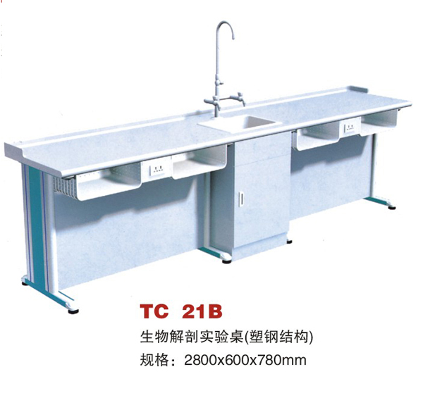 TC 21B �������ʵ����(�ֽܸṹ)